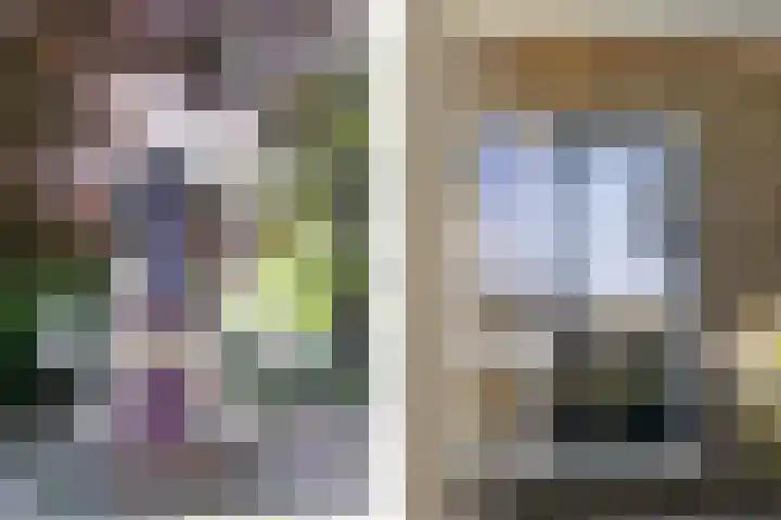 Menamerdyk 2 Slappeterp thumbnail 40