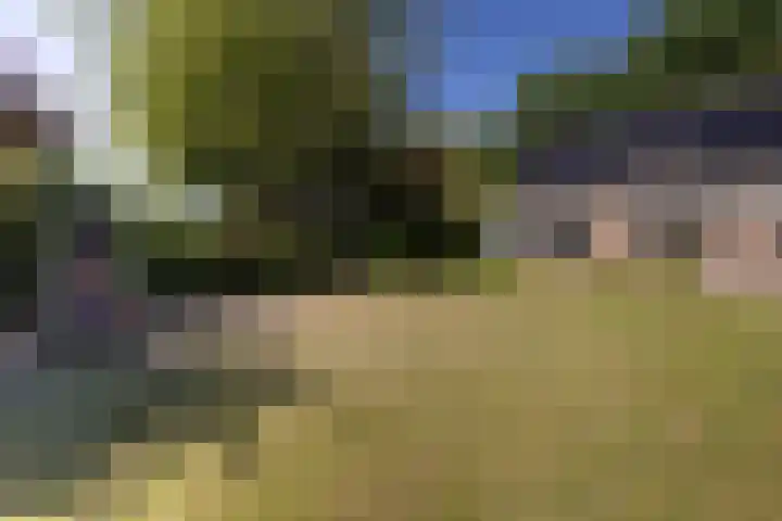Menamerdyk 2 Slappeterp thumbnail 41