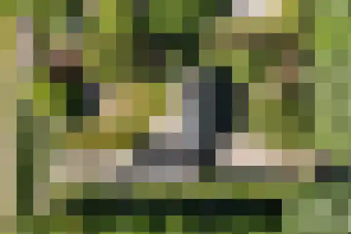 Menamerdyk 2 Slappeterp thumbnail 42
