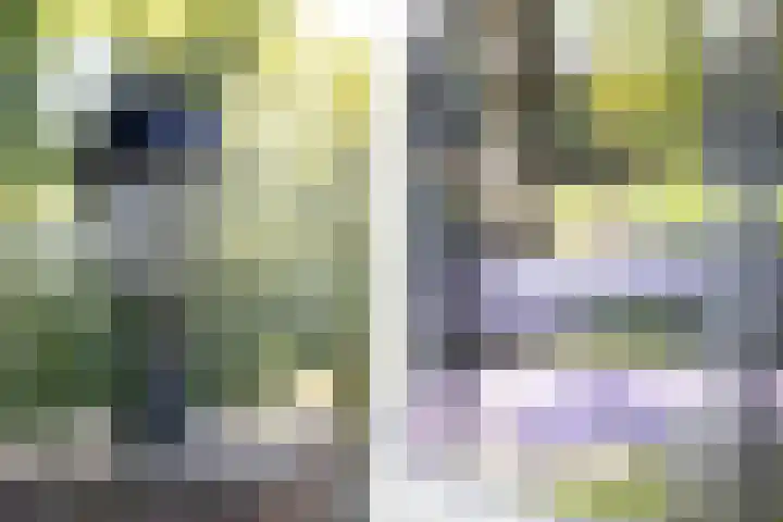 Menamerdyk 2 Slappeterp thumbnail 5