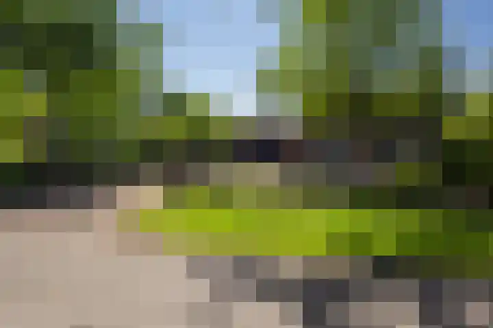 Menamerdyk 2 Slappeterp thumbnail 6