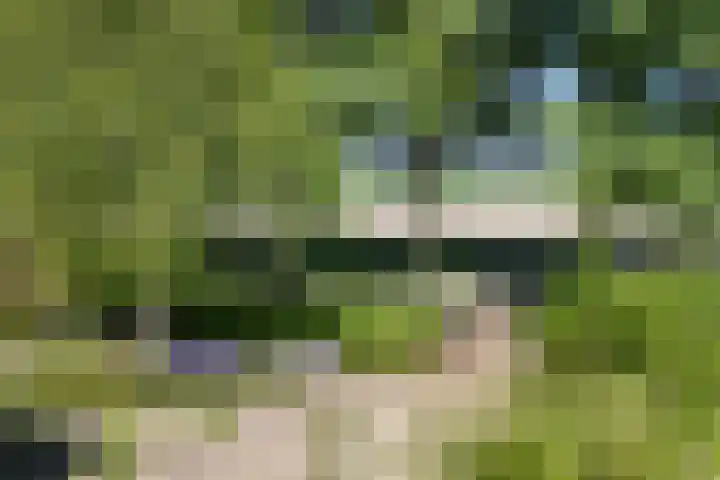 Menamerdyk 2 Slappeterp thumbnail 8