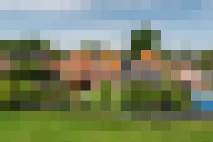 Menamerdyk 7 Bitgummole thumbnail 10