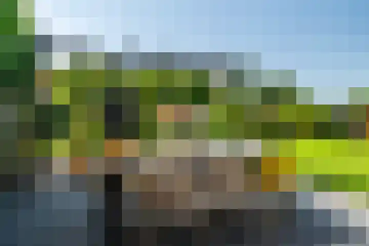 Menamerdyk 7 Bitgummole thumbnail 13