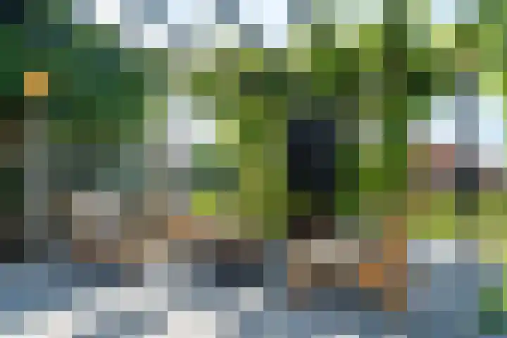 Menamerdyk 7 Bitgummole thumbnail 14