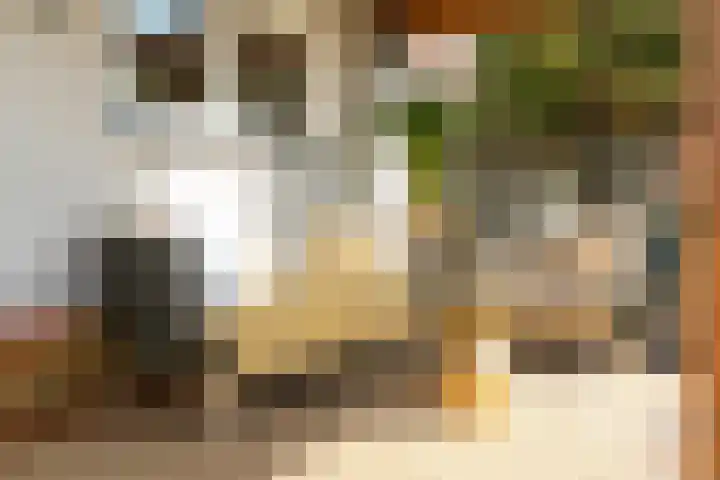 Menamerdyk 7 Bitgummole thumbnail 18