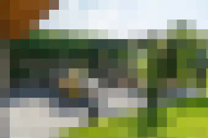 Menamerdyk 7 Bitgummole thumbnail 19