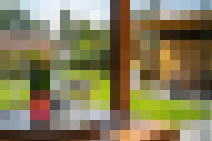 Menamerdyk 7 Bitgummole thumbnail 21