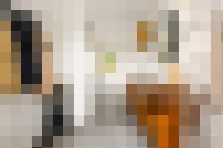 Menamerdyk 7 Bitgummole thumbnail 24