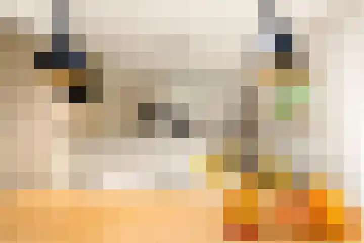 Menamerdyk 7 Bitgummole thumbnail 28