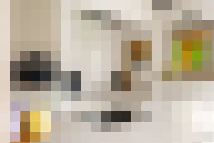 Menamerdyk 7 Bitgummole thumbnail 31