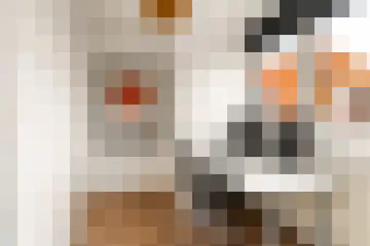 Menamerdyk 7 Bitgummole thumbnail 56