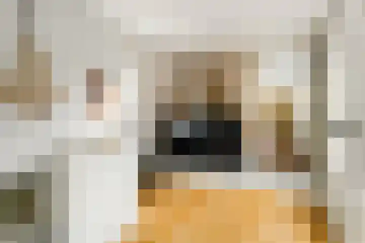 Menamerdyk 7 Bitgummole thumbnail 61