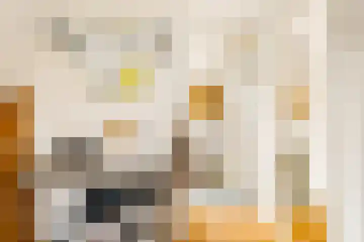 Menamerdyk 7 Bitgummole thumbnail 65