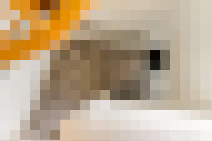 Menamerdyk 7 Bitgummole thumbnail 68