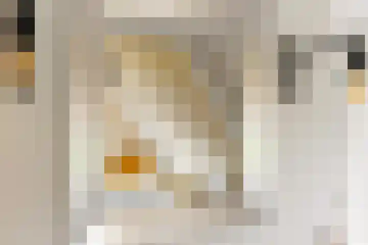 Menamerdyk 7 Bitgummole thumbnail 69