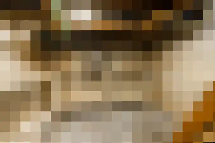 Menamerdyk 7 Bitgummole thumbnail 72