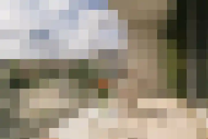 Menarahof 19 Amsterdam thumbnail 12