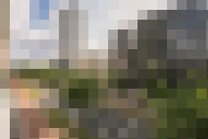 Menarahof 19 Amsterdam thumbnail 14