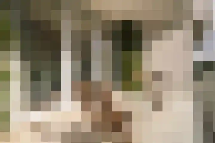 Menarahof 19 Amsterdam thumbnail 15