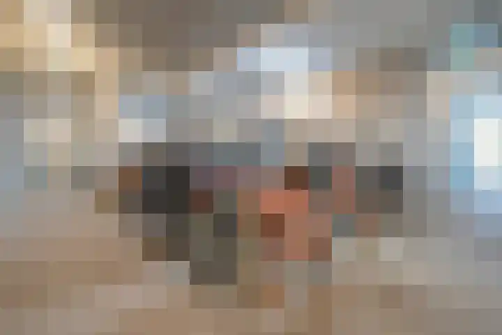 Menarahof 19 Amsterdam thumbnail 27