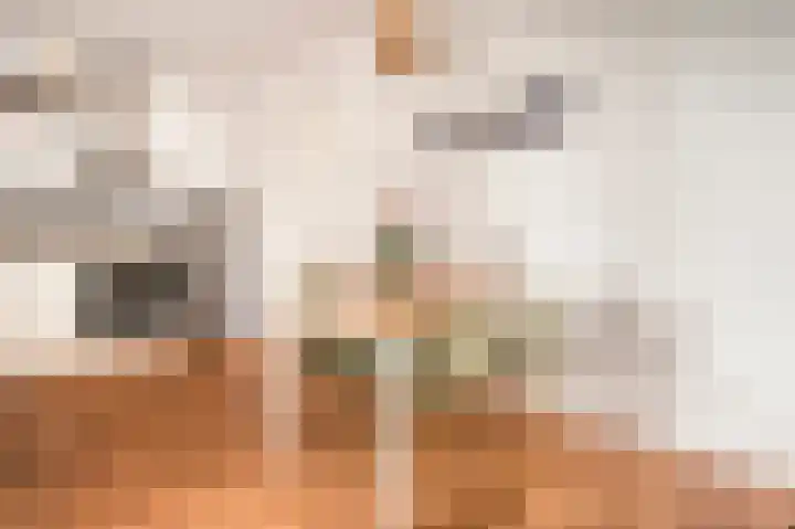Menarahof 19 Amsterdam thumbnail 5