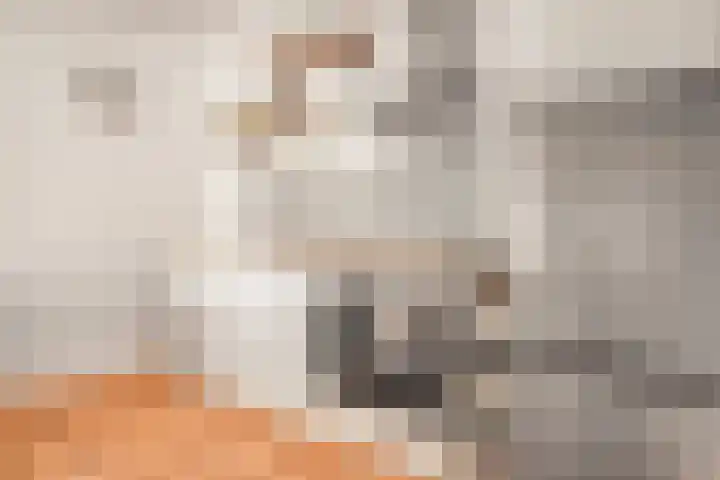Menarahof 19 Amsterdam thumbnail 6