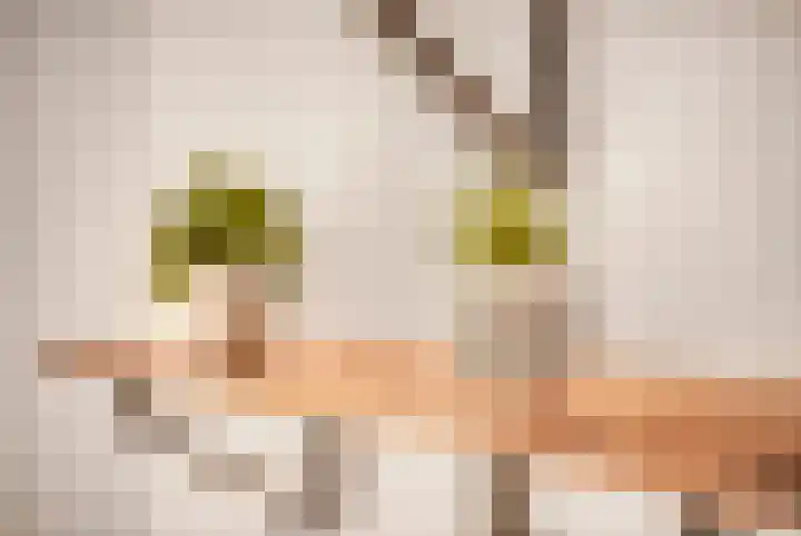 Menarahof 19 Amsterdam thumbnail 7