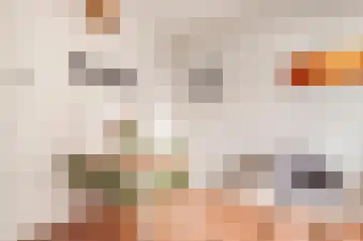 Menarahof 19 Amsterdam thumbnail 9