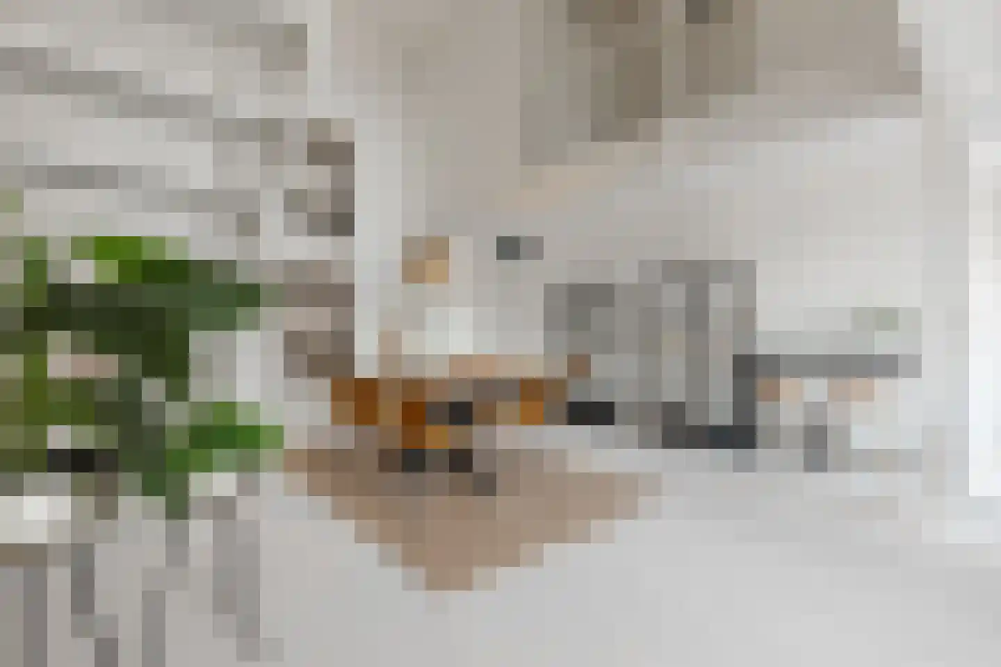 Menarahof 26 Amsterdam thumbnail 13