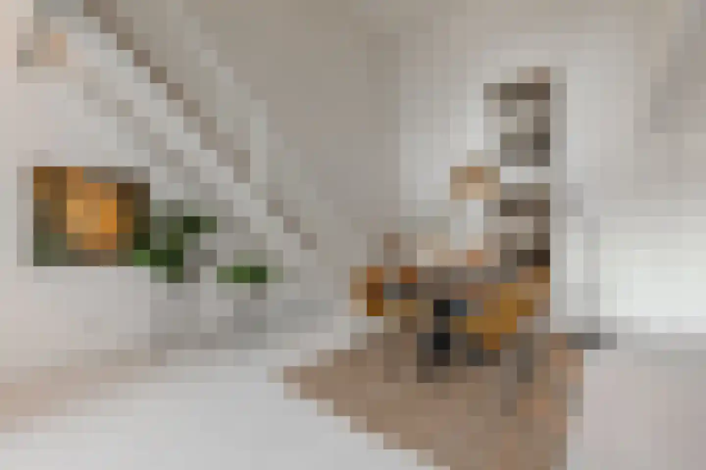 Menarahof 26 Amsterdam thumbnail 14