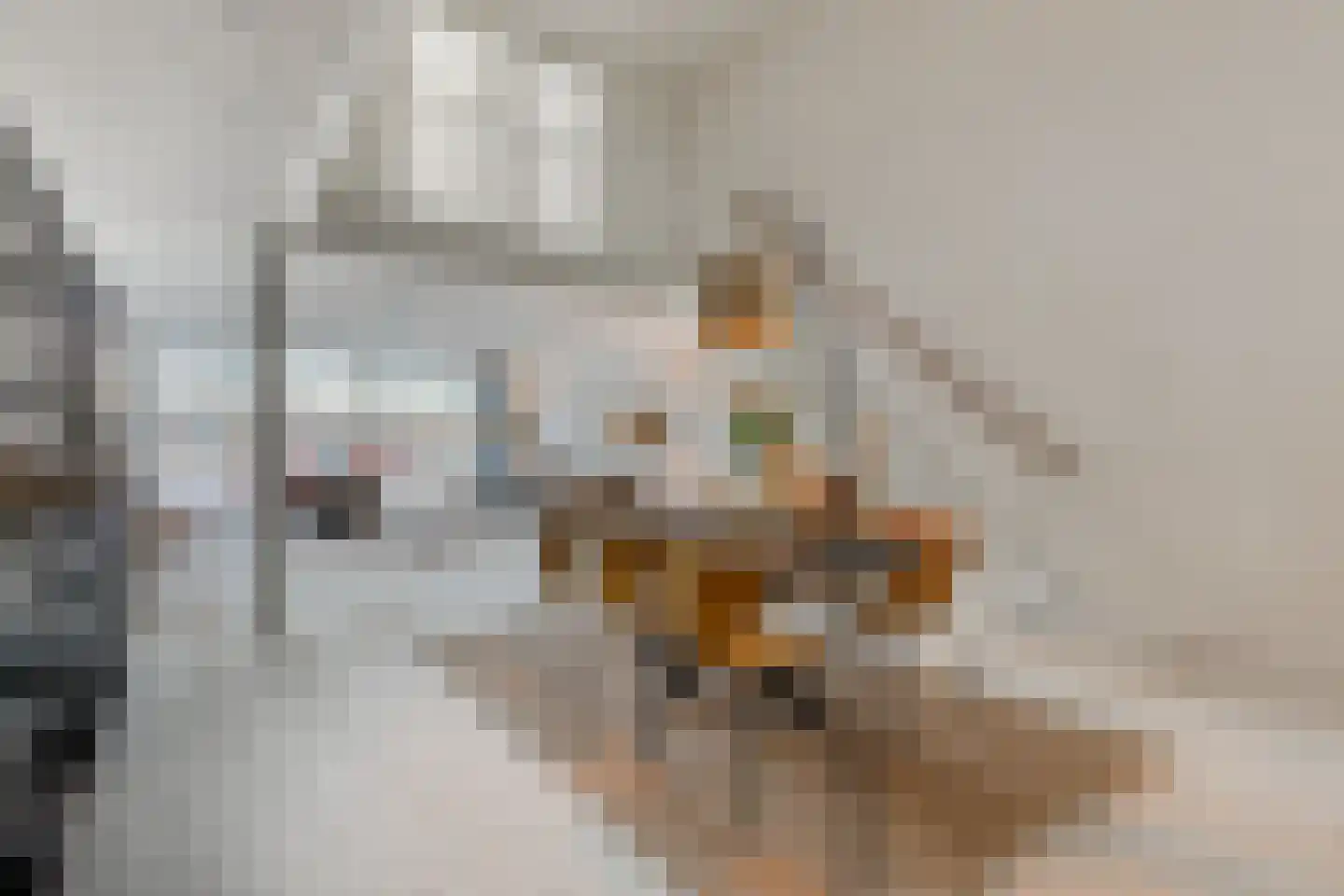 Menarahof 26 Amsterdam thumbnail 15