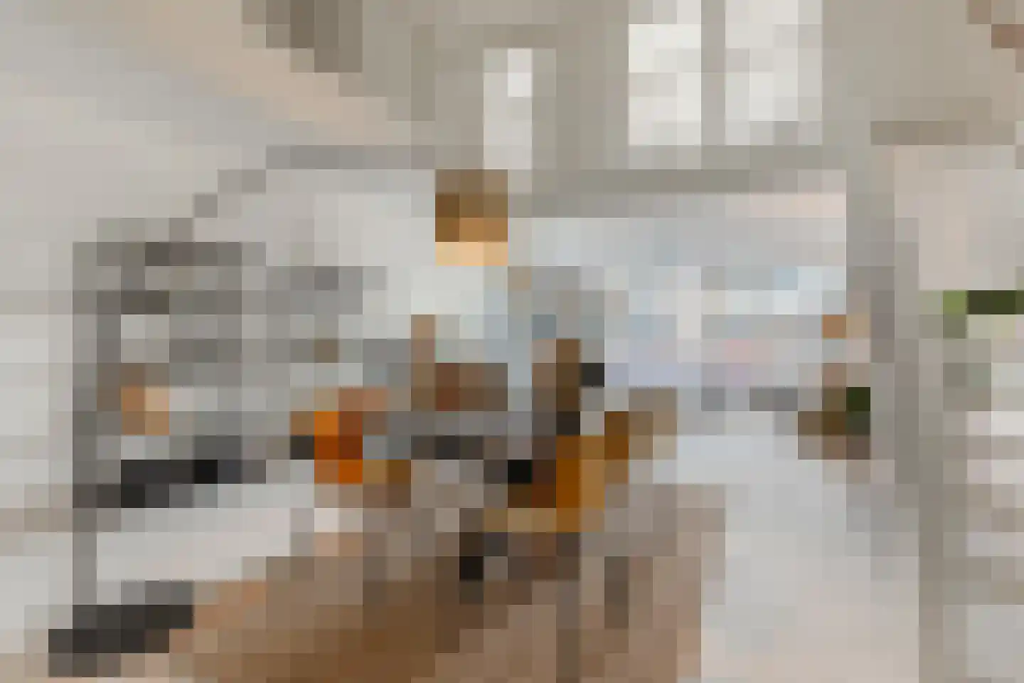 Menarahof 26 Amsterdam thumbnail 16