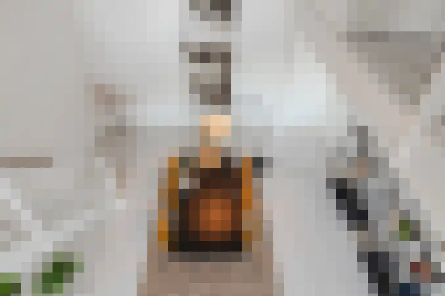 Menarahof 26 Amsterdam thumbnail 17
