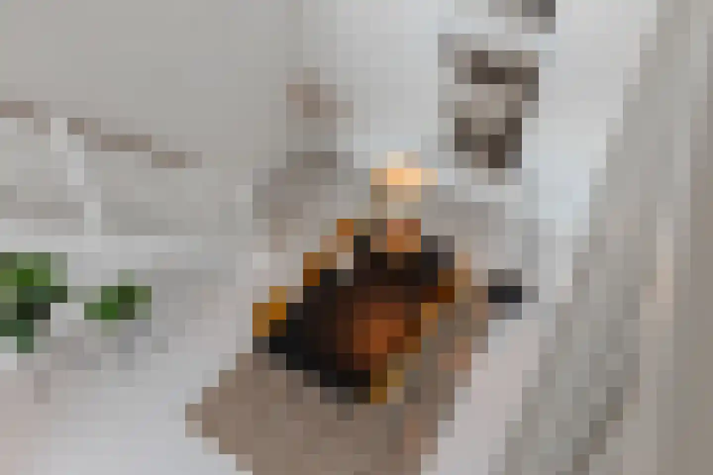 Menarahof 26 Amsterdam thumbnail 18