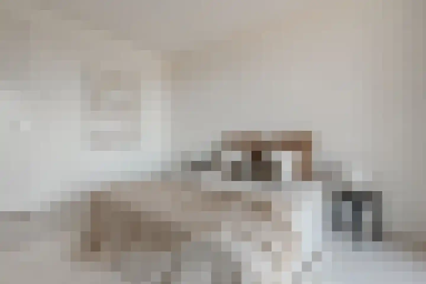 Menarahof 26 Amsterdam thumbnail 23