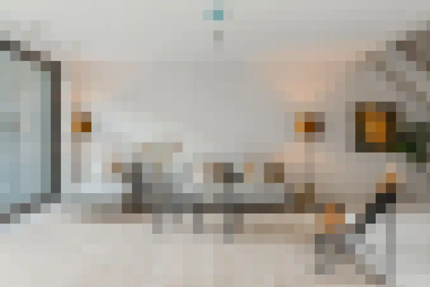 Menarahof 26 Amsterdam thumbnail 9