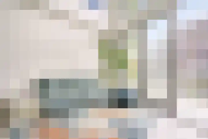 Menarahof 41 Amsterdam thumbnail 11