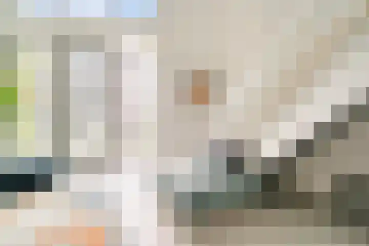 Menarahof 41 Amsterdam thumbnail 13