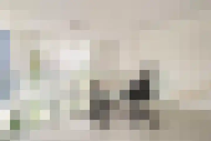 Menarahof 41 Amsterdam thumbnail 14
