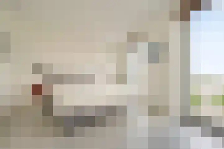 Menarahof 41 Amsterdam thumbnail 18
