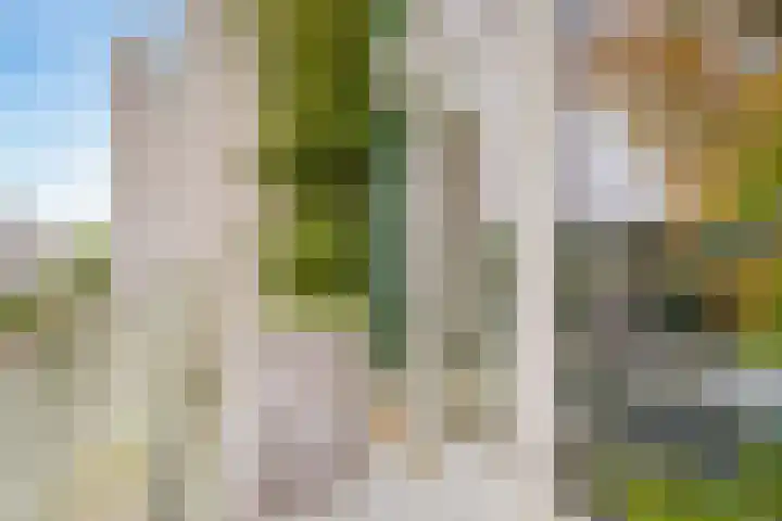 Menarahof 41 Amsterdam thumbnail 30