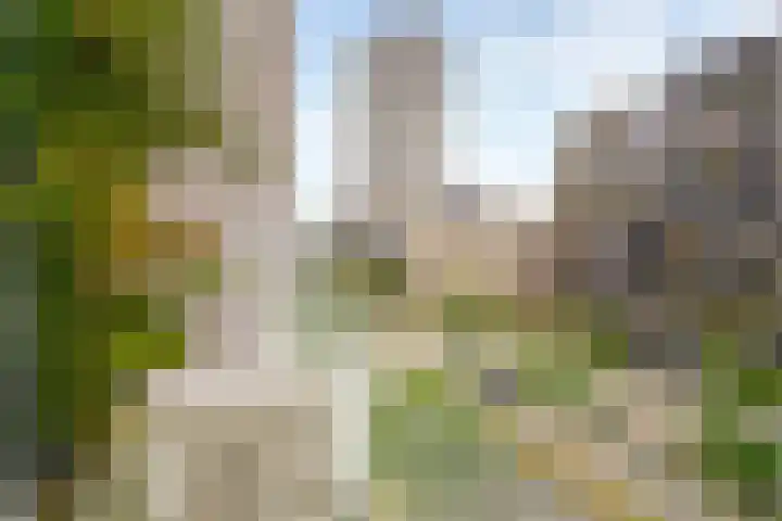Menarahof 41 Amsterdam thumbnail 31