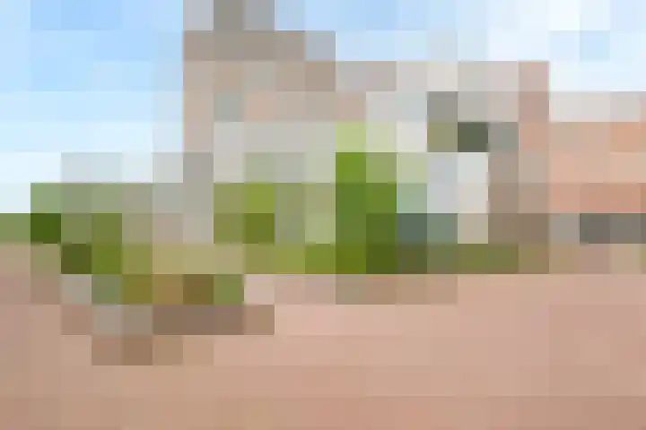 Menarahof 41 Amsterdam thumbnail 38