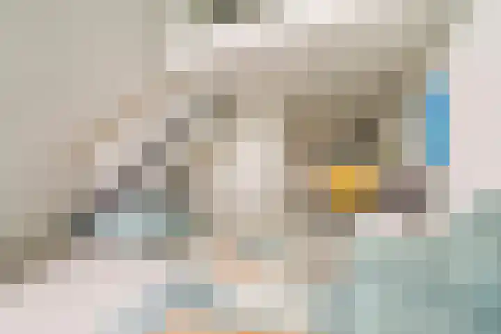 Menarahof 41 Amsterdam thumbnail 5