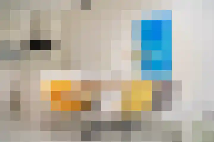 Menarahof 41 Amsterdam thumbnail 6