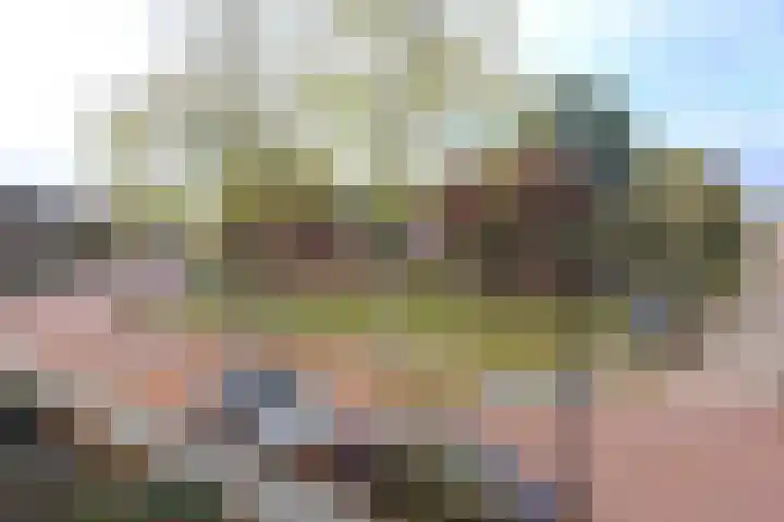 Mendeldreef 196 Lisse thumbnail 15