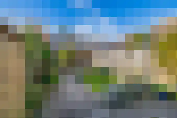 Mendeldreef 196 Lisse thumbnail 27