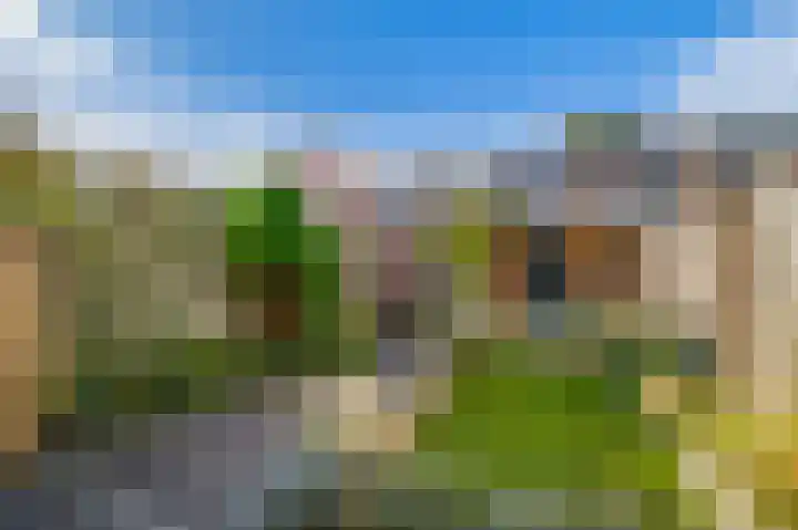 Mendeldreef 196 Lisse thumbnail 28