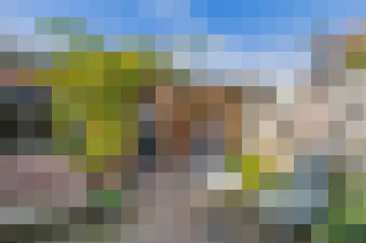 Mendeldreef 196 Lisse thumbnail 29